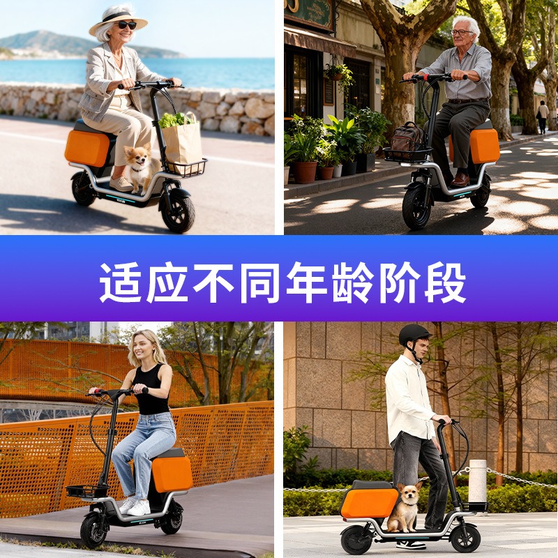 Scooter eléctrico para adultos - Folding Electric Scooter reseña y precio