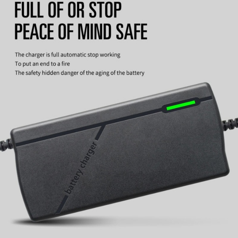 Cargador de batería de litio H - Electric Scooter Charger reseña y precio