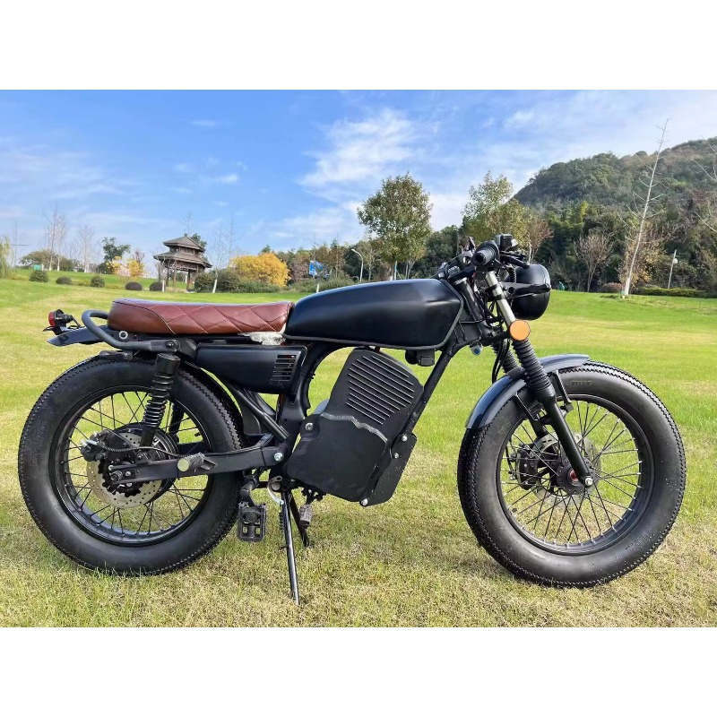 Lvyuan, Venta Directa de Fábri - Electric Scooter Adults reseña y precio